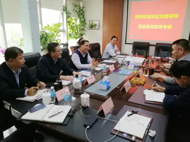 市區(qū)領(lǐng)導(dǎo)到港強(qiáng)集團(tuán)幫扶協(xié)助工作調(diào)研
